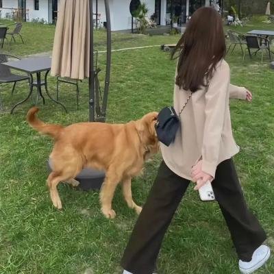 山鹰之歌